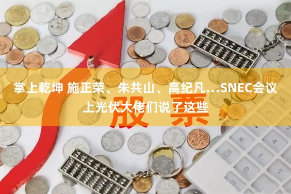 掌上乾坤 施正荣、朱共山、高纪凡…SNEC会议上光伏大佬们说了这些