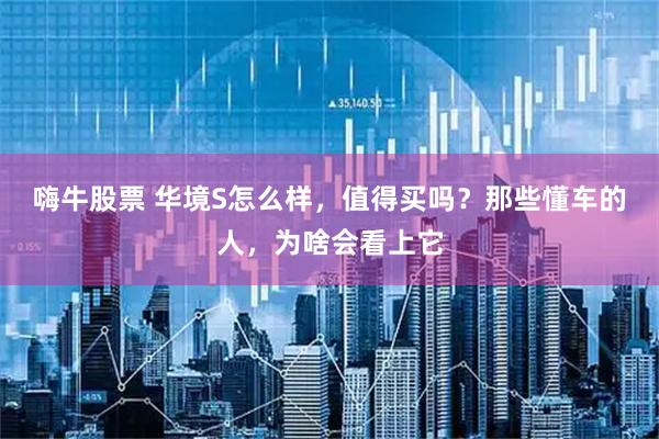 嗨牛股票 华境S怎么样，值得买吗？那些懂车的人，为啥会看上它