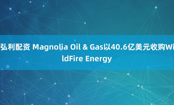 弘利配资 Magnolia Oil & Gas以40.6亿美元收购WildFire Energy